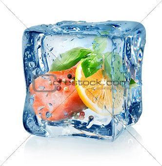Fillet of salmon in ice cube