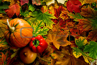 colorful leaves and vegetables