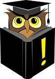 Wise owl reading book