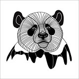 Bear panda head animal symbol for mascot or emblem design, vector illustration for t-shirt.