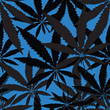 Wallpaper with leaves of cannabis