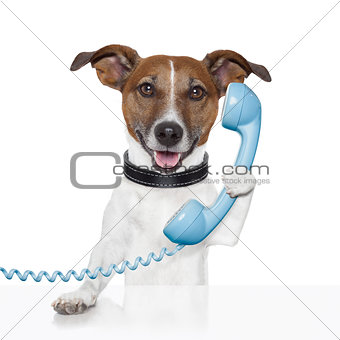 dog on the phone talking 
