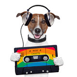 music cassette tape headphone dog