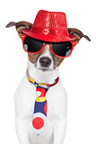 crazy silly funny dog hat glasses  tie