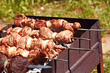 Cooking of shish kebab