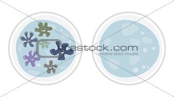 Vector colorful bad microbes or germs cell  isolated on white background