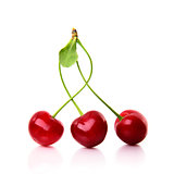 Red ripe cherries
