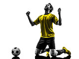 brazilian soccer football player young happiness joy kneeling ma