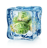 Brussel sprouts in ice cube