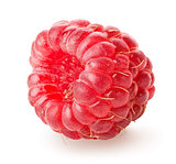 Juicy raspberry
