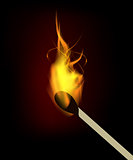 Vector burning match