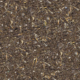 Seamless Texture of the Ground with Dry Herbs.