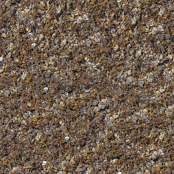 Seamless Texture of Rocky Soil.