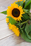 fresh bouquet of sunflowers
