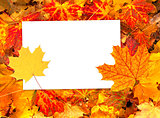 Background with autumn leaves and paper