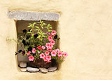 Flowerpot with petunias
