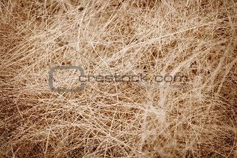 Coconut fiber - material for making ropes and mats