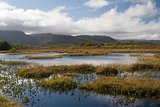 Marsh Land on Gimsoya, Lofoten Islands, Norway, Scandinavia