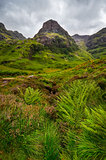 View of Glen Coe mountains with greenery foreground, Scotland