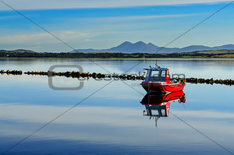 Small red boat in peaceful harbour