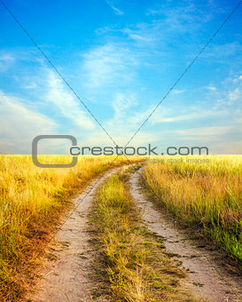 Photo of the road into a field