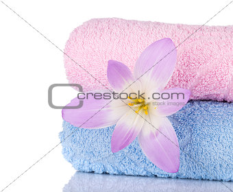 Pink and blue towels and flower