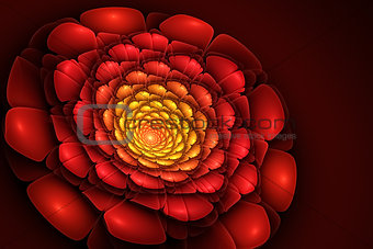 Fractal - red flower