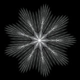 Fractal - snowflake in gray and white colors