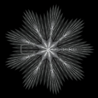 Fractal - snowflake in gray and white colors