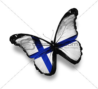 Finnish flag butterfly, isolated on white