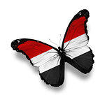 Yemeni flag butterfly, isolated on white