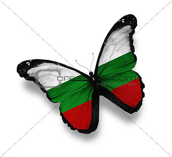 Bulgarian flag butterfly, isolated on white