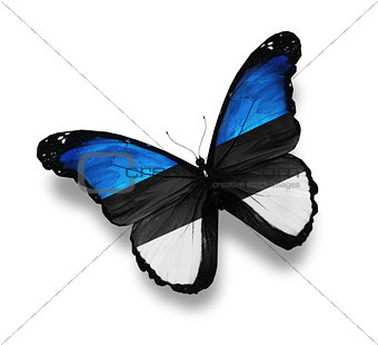Estonian flag butterfly, isolated on white