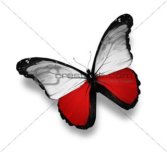 Polish flag butterfly, isolated on white