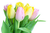 Beautiful tulip bouqet