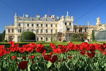 Tulips in front of the Lednice Castle