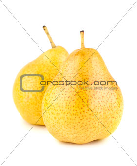 Two yellow ripe pears