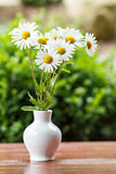 daisy flower in the vase with shallow focus