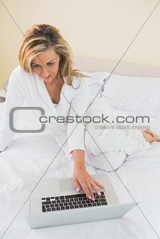 Concentrated woman using a laptop lying on her bed
