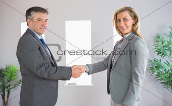 Cheerful businessman shaking the hand of a content businesswoman both looking at camera