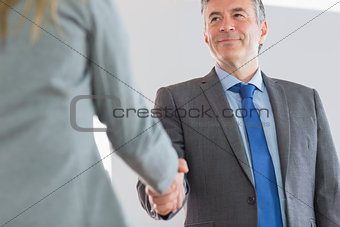 Happy businessman shaking a hand