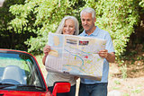 Smiling mature couple reading map