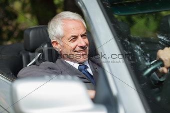 Smiling businessman driving expensive cabriolet