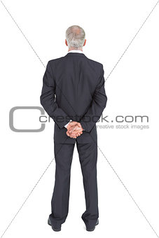 Rear view of serious businessman posing