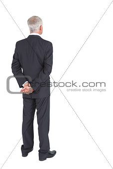 Rear view of mature businessman posing