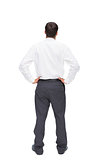 Rear view of classy young businessman posing