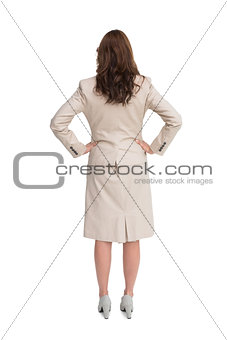 Businesswoman standing back to camera