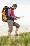 Handsome hiker with backpack walking uphill reading a map