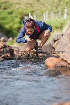 Hiker bending to take a drink from the stream