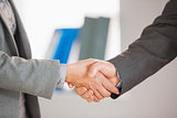 Two people having a handshake in an office